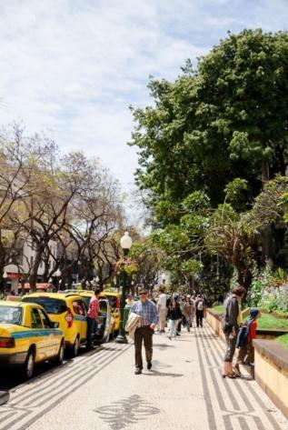 Central Funchal Apartment - Garden - Free Parking & Ac Exterior foto
